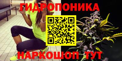 ALPHA PVP Камышлов