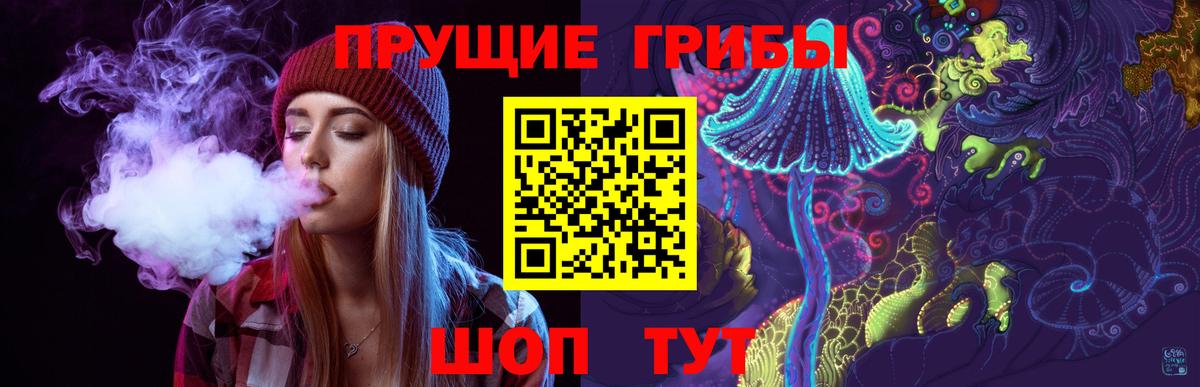 Чебаркуль  Галлюциногенные грибы Psilocybine cubensis  Вход с VPN 
