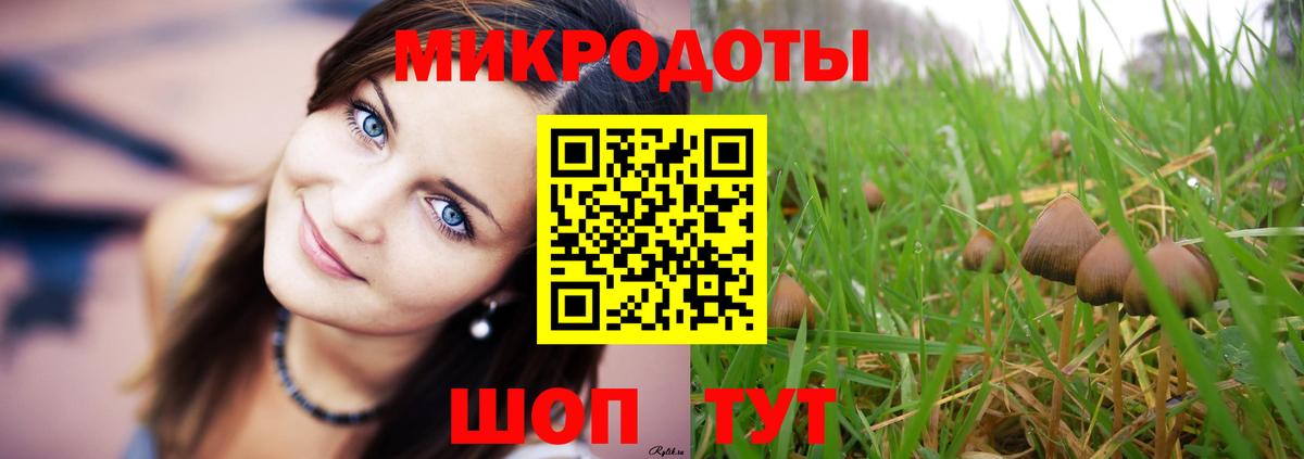 Галлюциногенные грибы мухоморы Чебаркуль